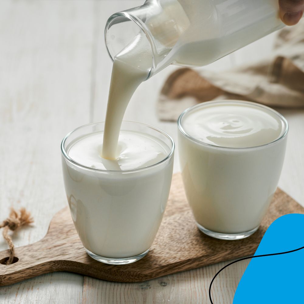 Ferment pour kéfir de lait