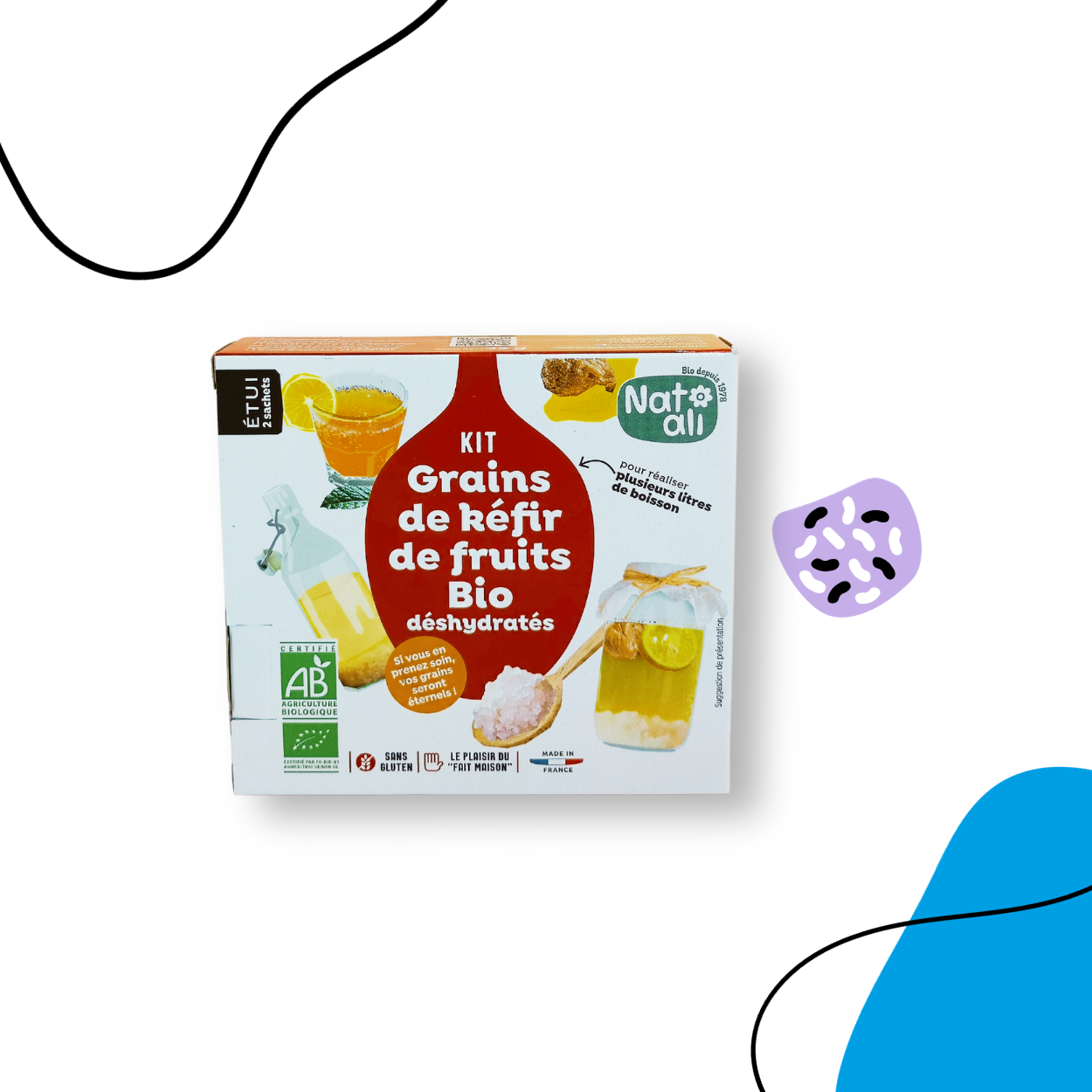🍓🌱 Kit Grains de Kéfir de Fruits - Votre Compagnon de Fermentation Maison  - NAT'ALI – Microbiote Store