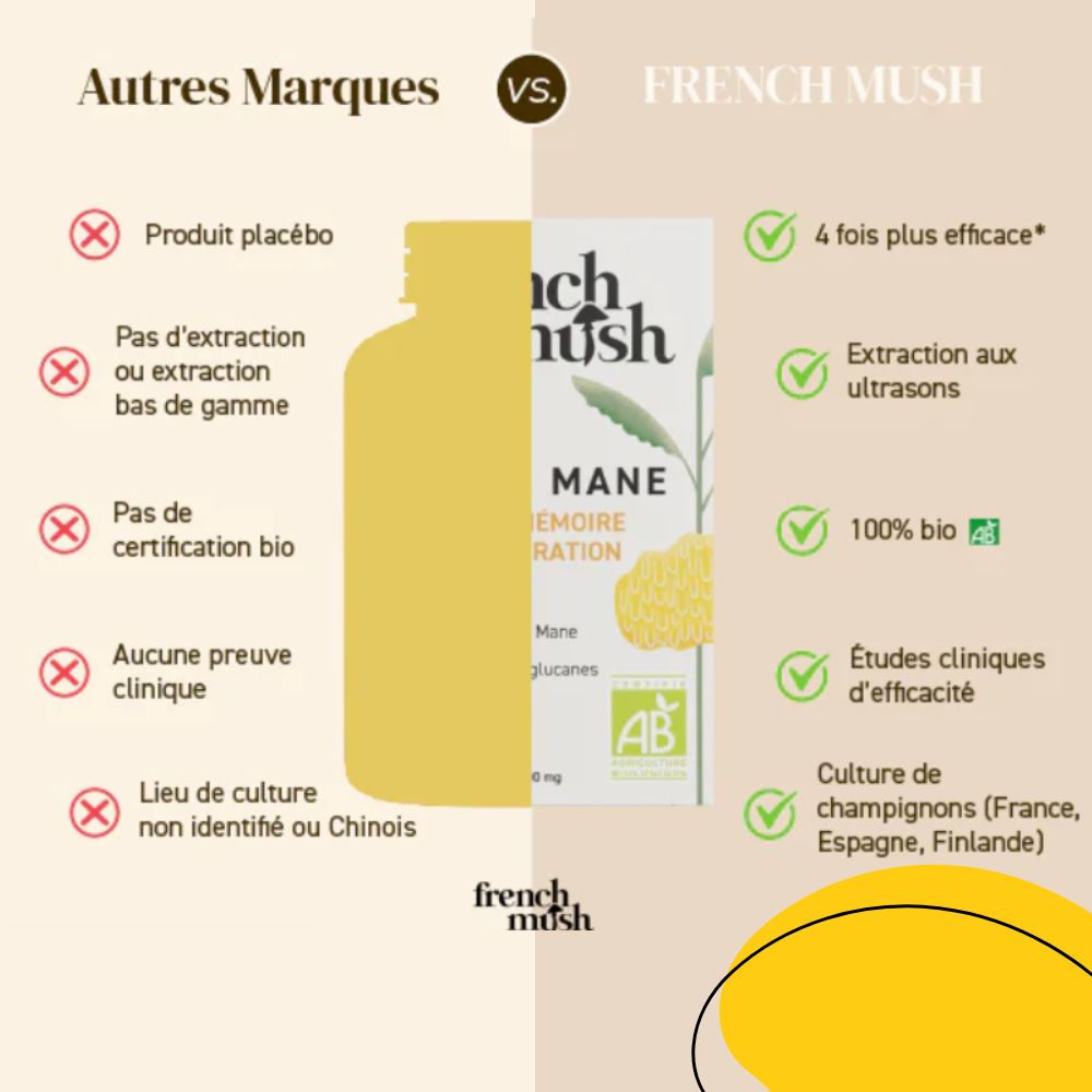 Extrait de Lion's Mane Bio en poudre