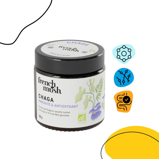 Extrait de Chaga Bio en poudre